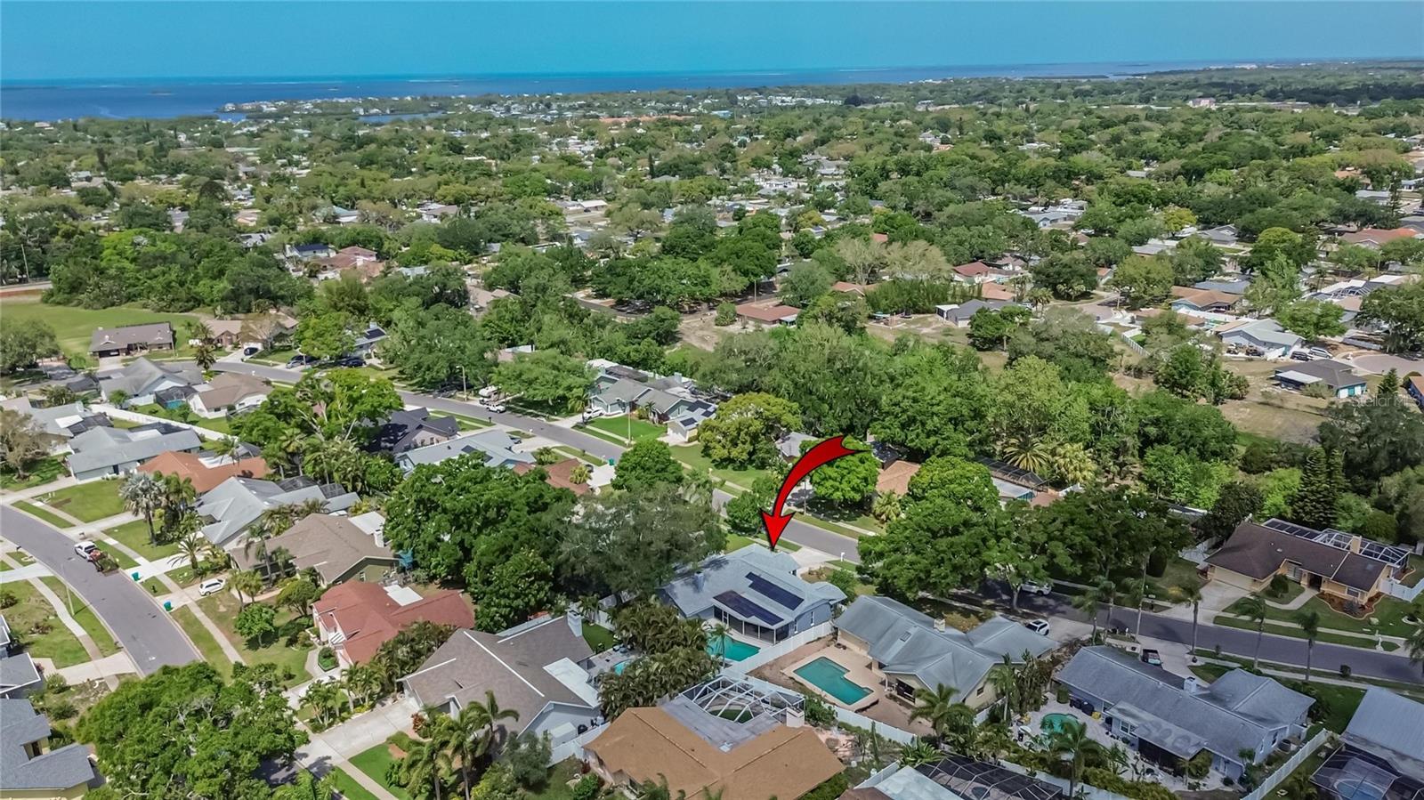 1668 ALLENS RIDGE DR N, PALM HARBOR, FL, 34683