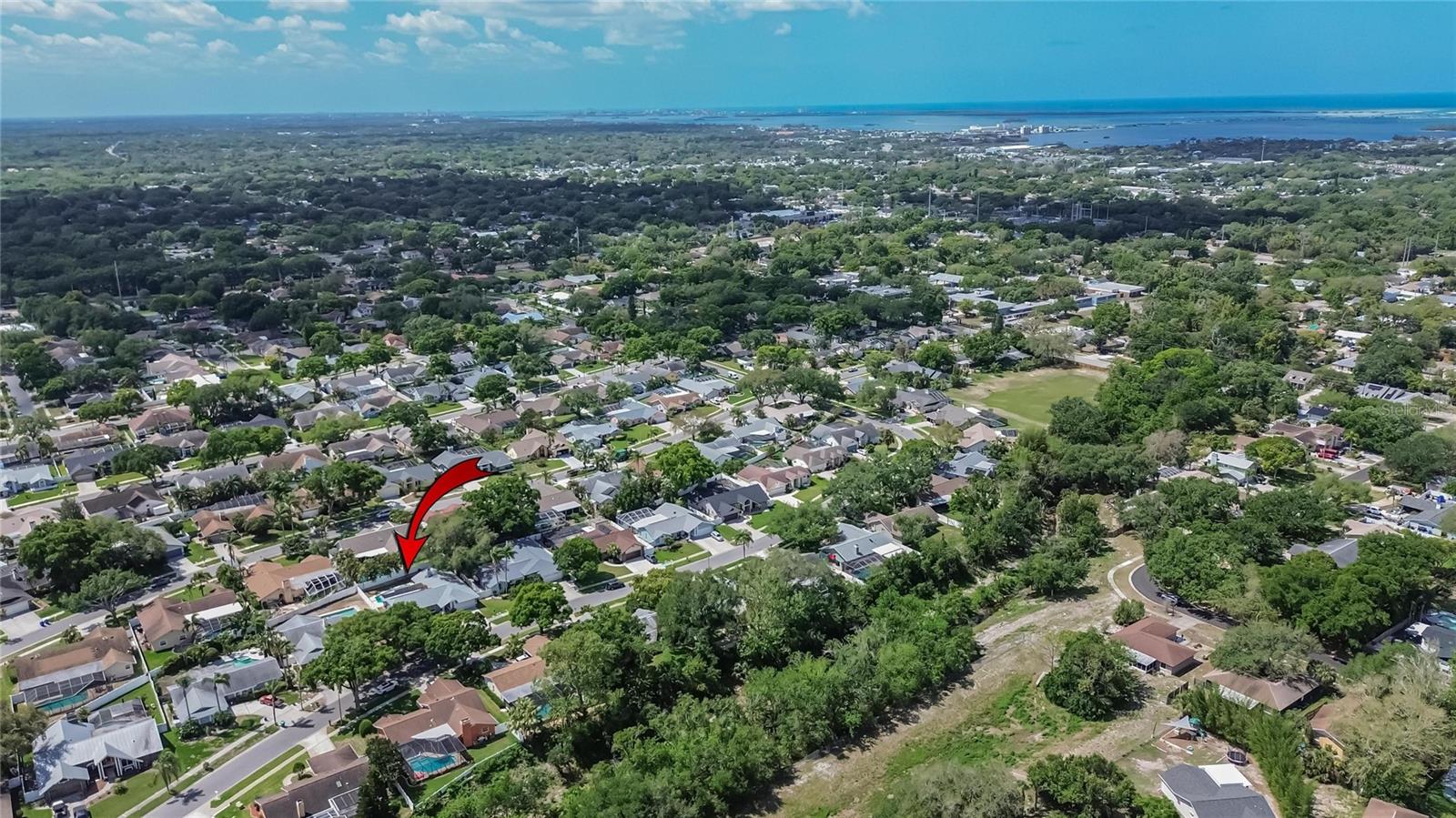 1668 ALLENS RIDGE DR N, PALM HARBOR, FL, 34683