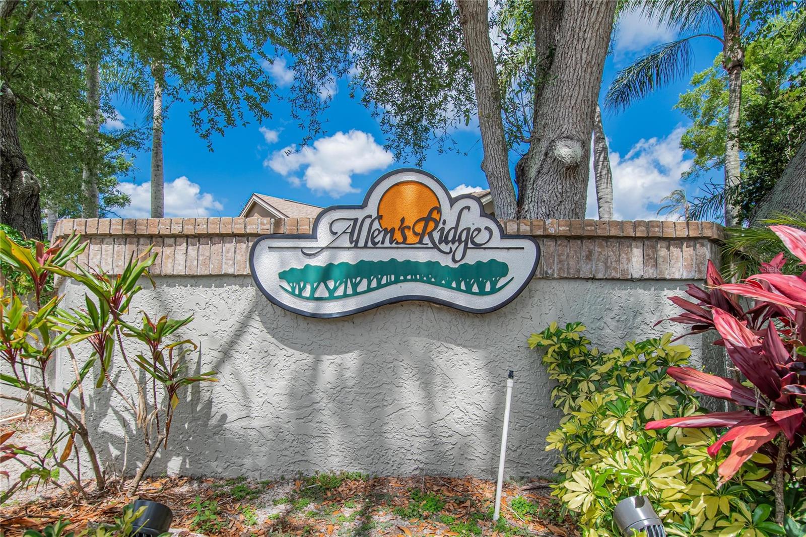 1668 ALLENS RIDGE DR N, PALM HARBOR, FL, 34683