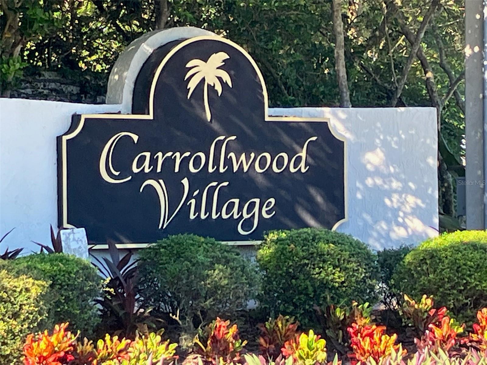 4168 NORTHMEADOW CIR, TAMPA, FL, 33618