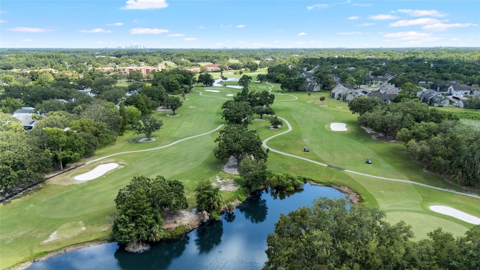 4168 NORTHMEADOW CIR, TAMPA, FL, 33618