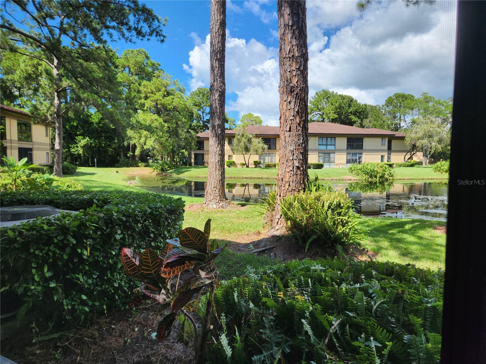 2685 SABAL SPRINGS CIR #103, CLEARWATER, FL, 33761