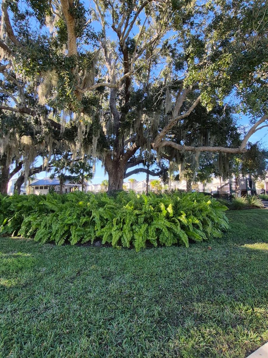 1772 STAMEN DR, KISSIMMEE, FL, 34744