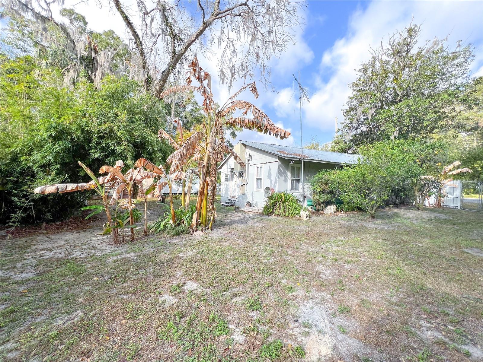 25825 W NEWBERRY RD, NEWBERRY, FL, 32669