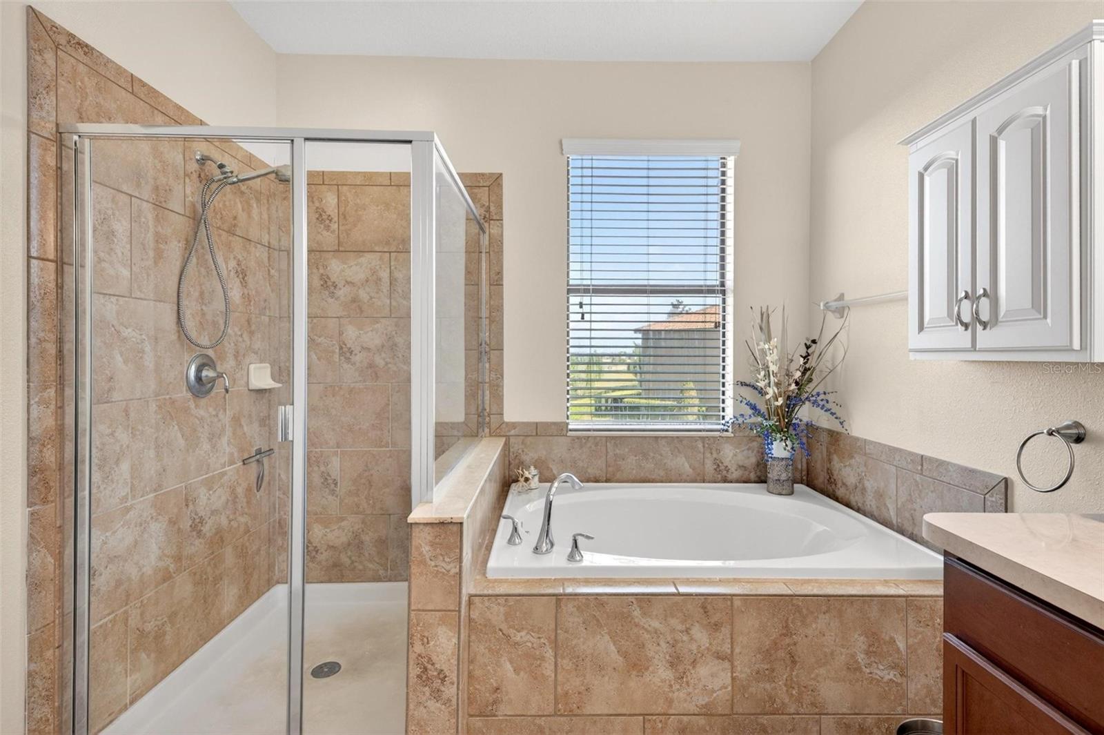 1261 LONG COVE LOOP #1261, DAVENPORT, FL, 33896