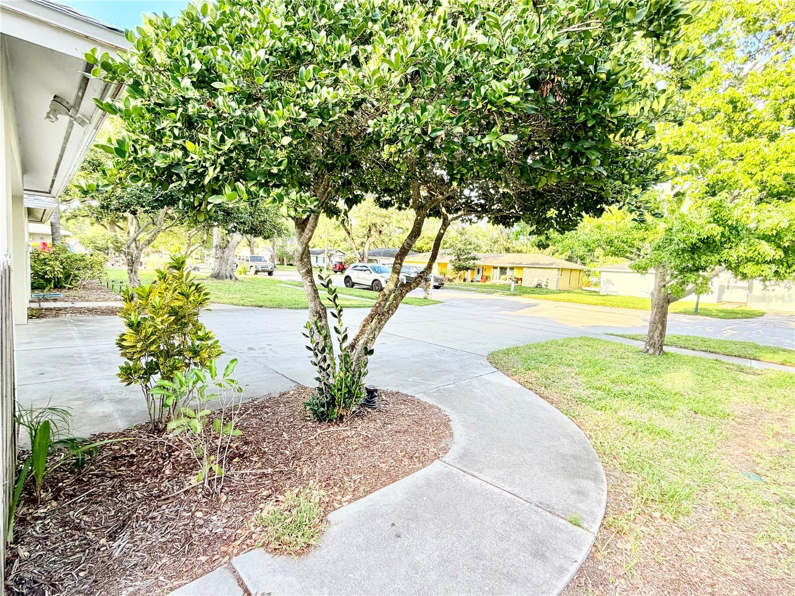 1880 OAK FOREST DR E, CLEARWATER, FL, 33759