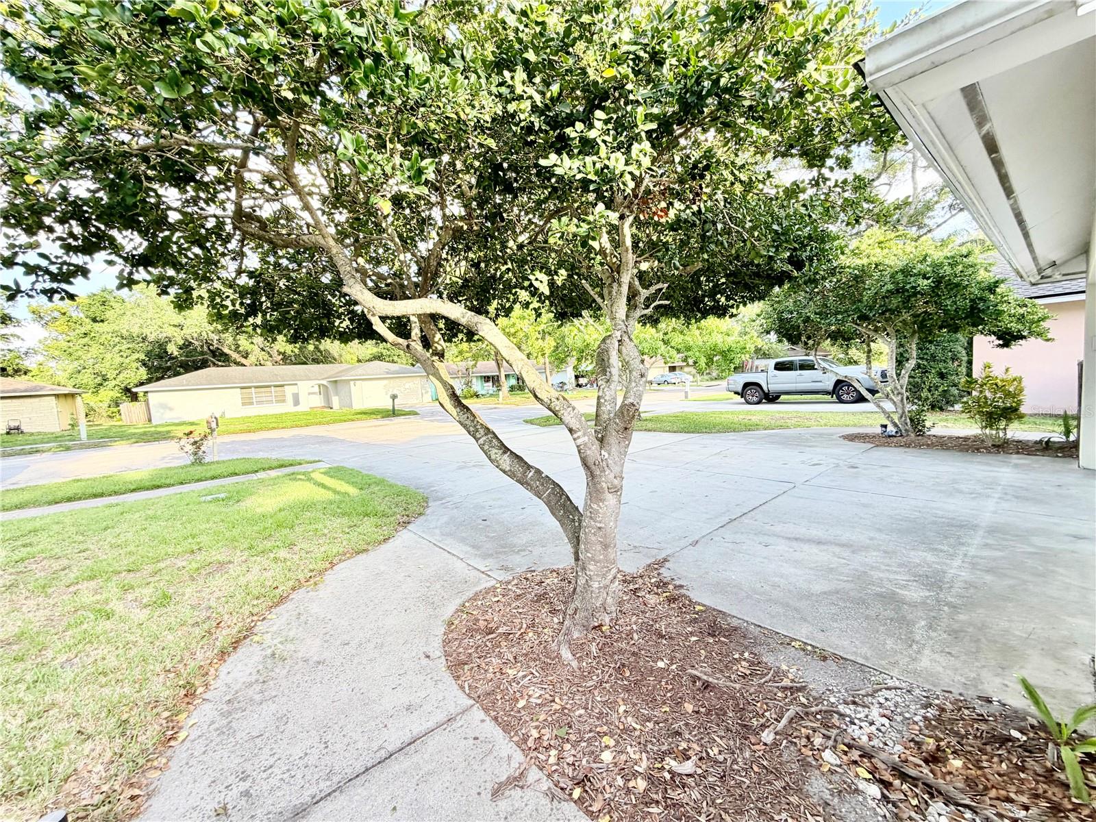 1880 OAK FOREST DR E, CLEARWATER, FL, 33759