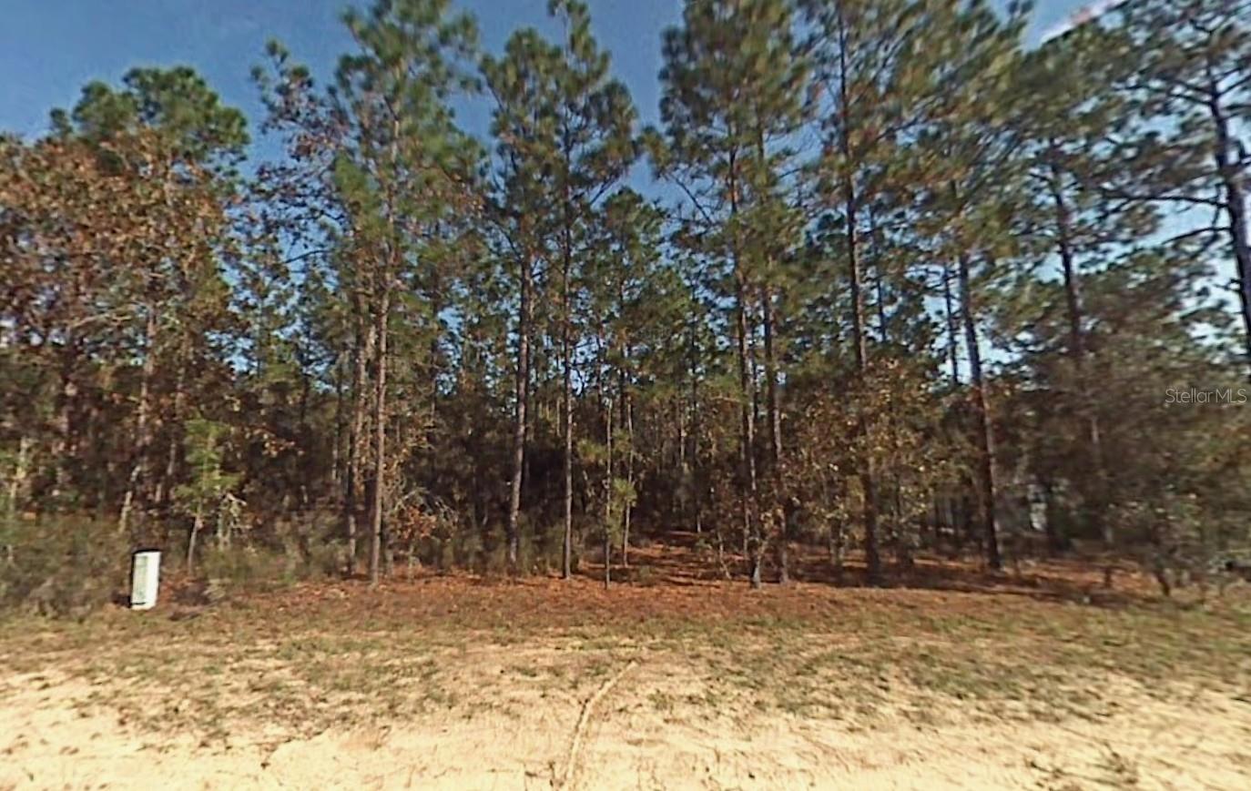 Lot 5 SW 166TH COURT RD, DUNNELLON, FL, 34432