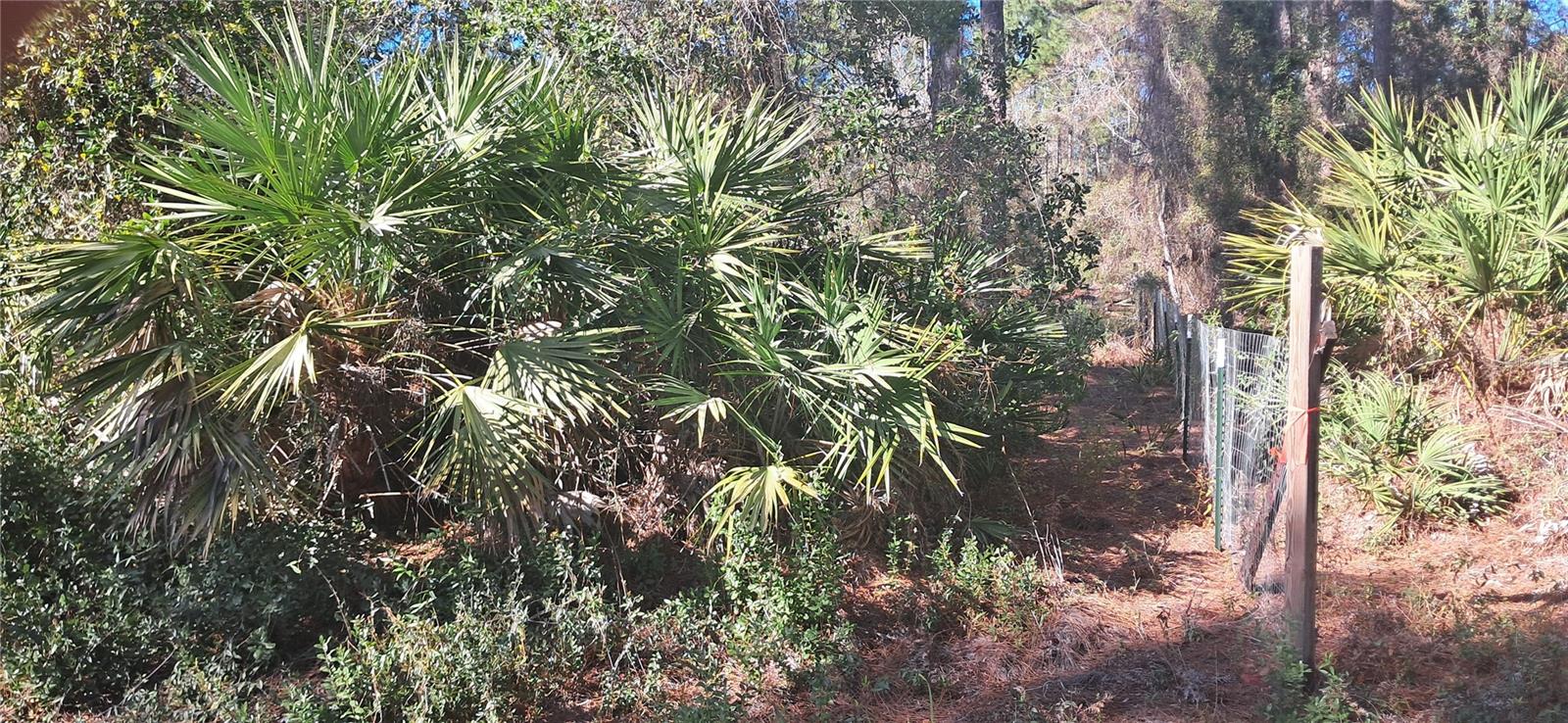 120 GARDENIA AVE, GEORGETOWN, FL, 32139