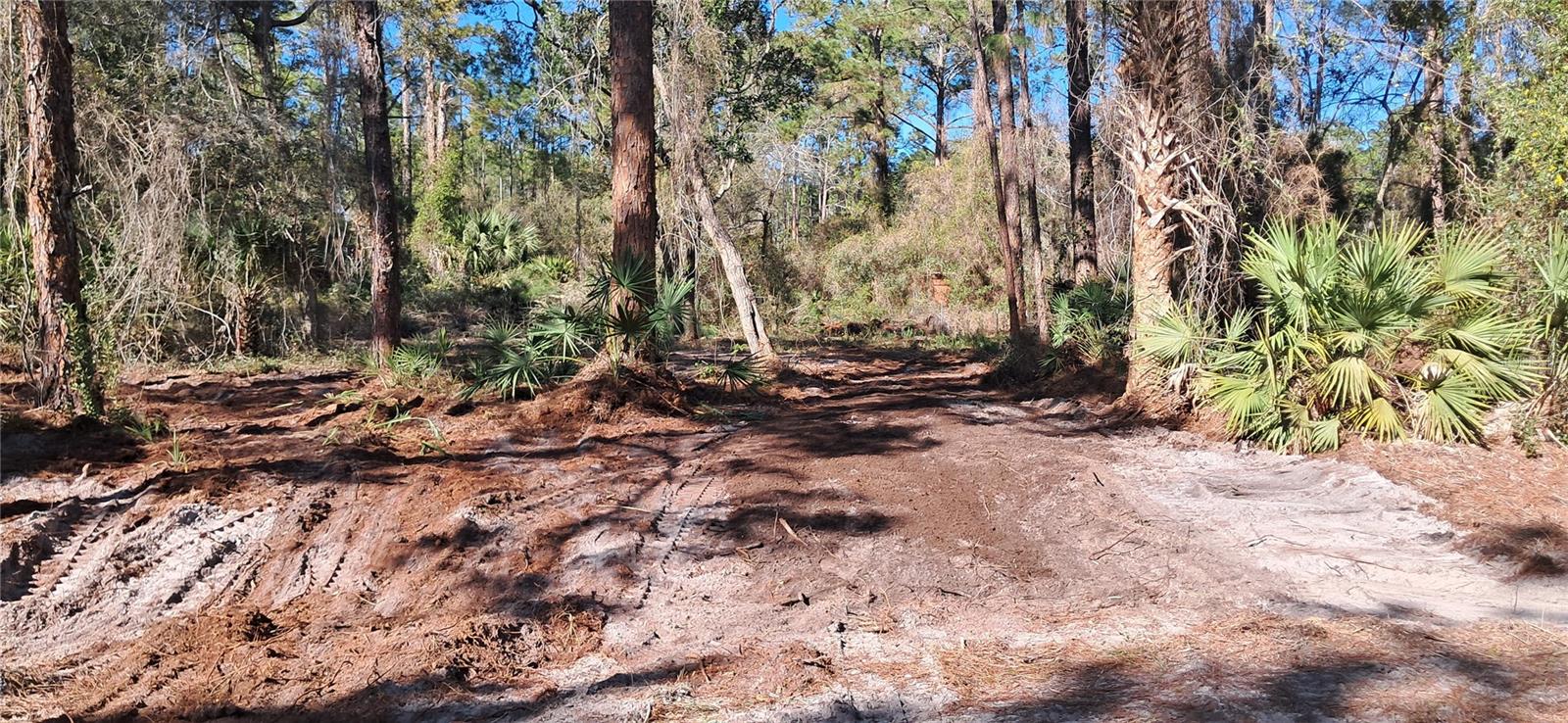 120 GARDENIA AVE, GEORGETOWN, FL, 32139