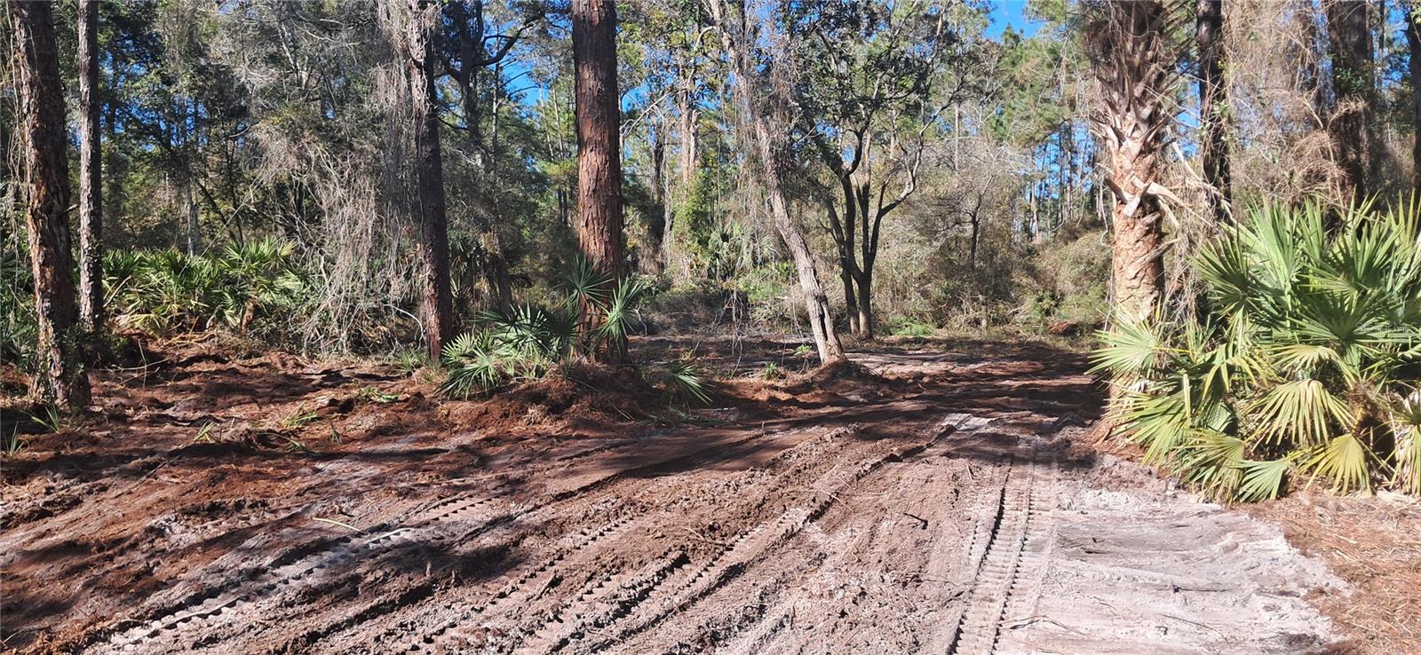 120 GARDENIA AVE, GEORGETOWN, FL, 32139