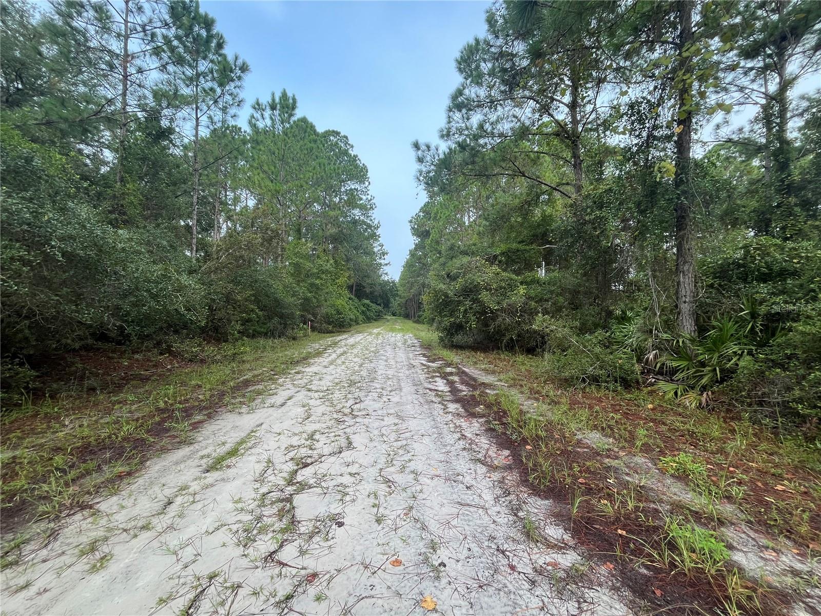 120 GARDENIA AVE, GEORGETOWN, FL, 32139