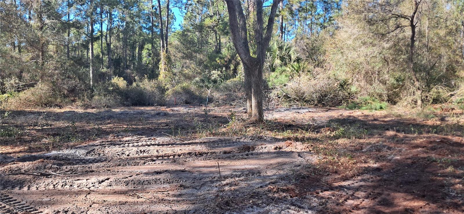 120 GARDENIA AVE, GEORGETOWN, FL, 32139