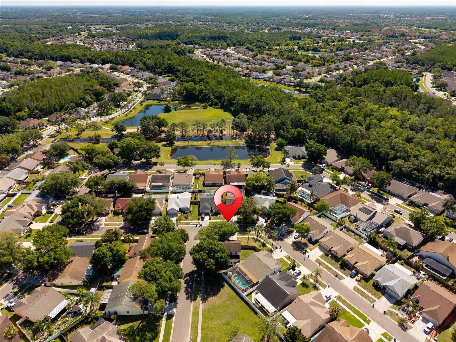 9758 FOX HOLLOW RD, TAMPA, FL, 33647