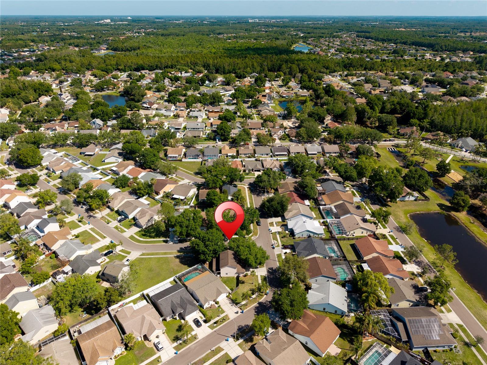 9758 FOX HOLLOW RD, TAMPA, FL, 33647