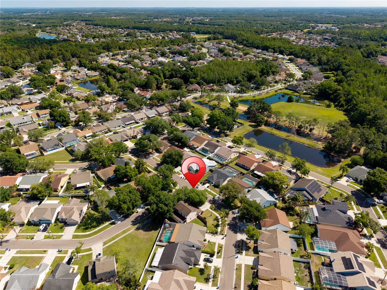 9758 FOX HOLLOW RD, TAMPA, FL, 33647