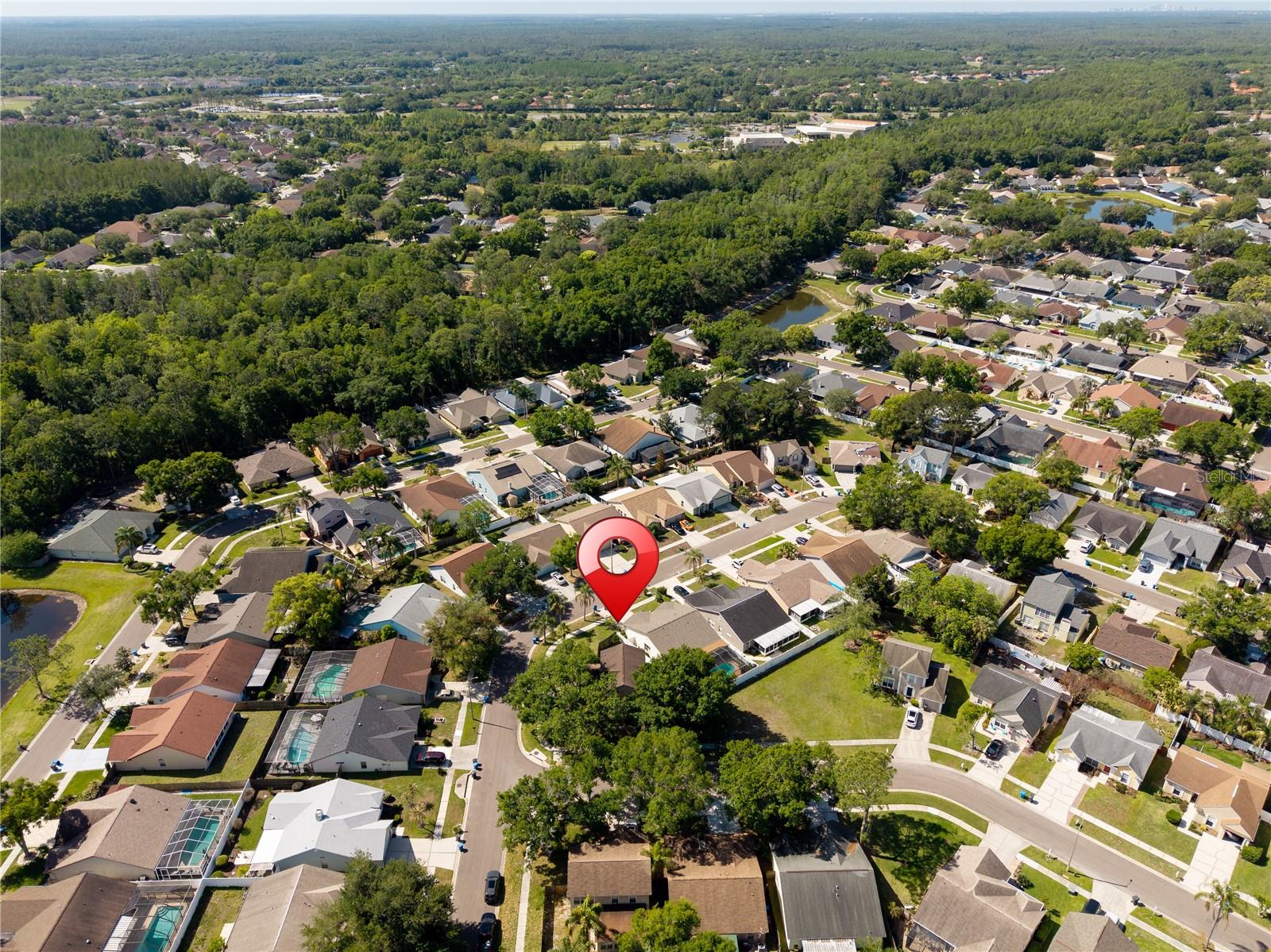 9758 FOX HOLLOW RD, TAMPA, FL, 33647