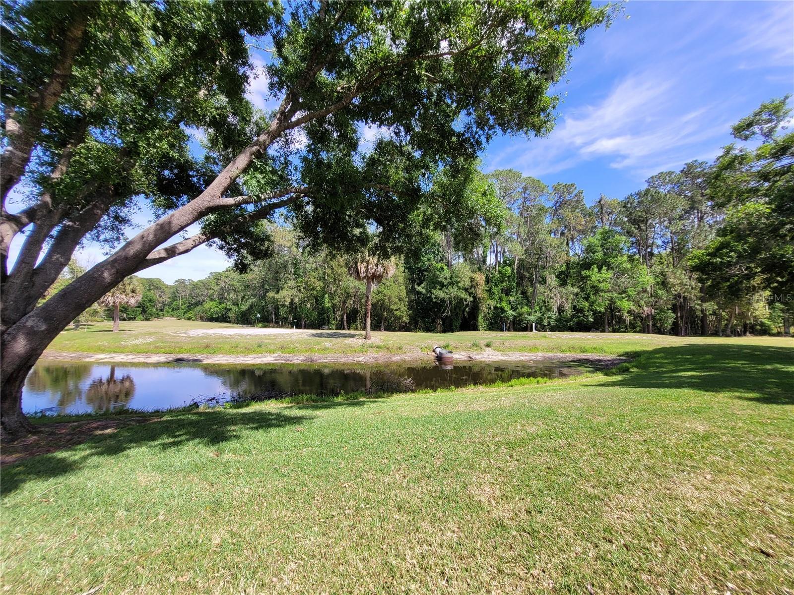 432 BAYTREE BLVD, TAVARES, FL, 32778