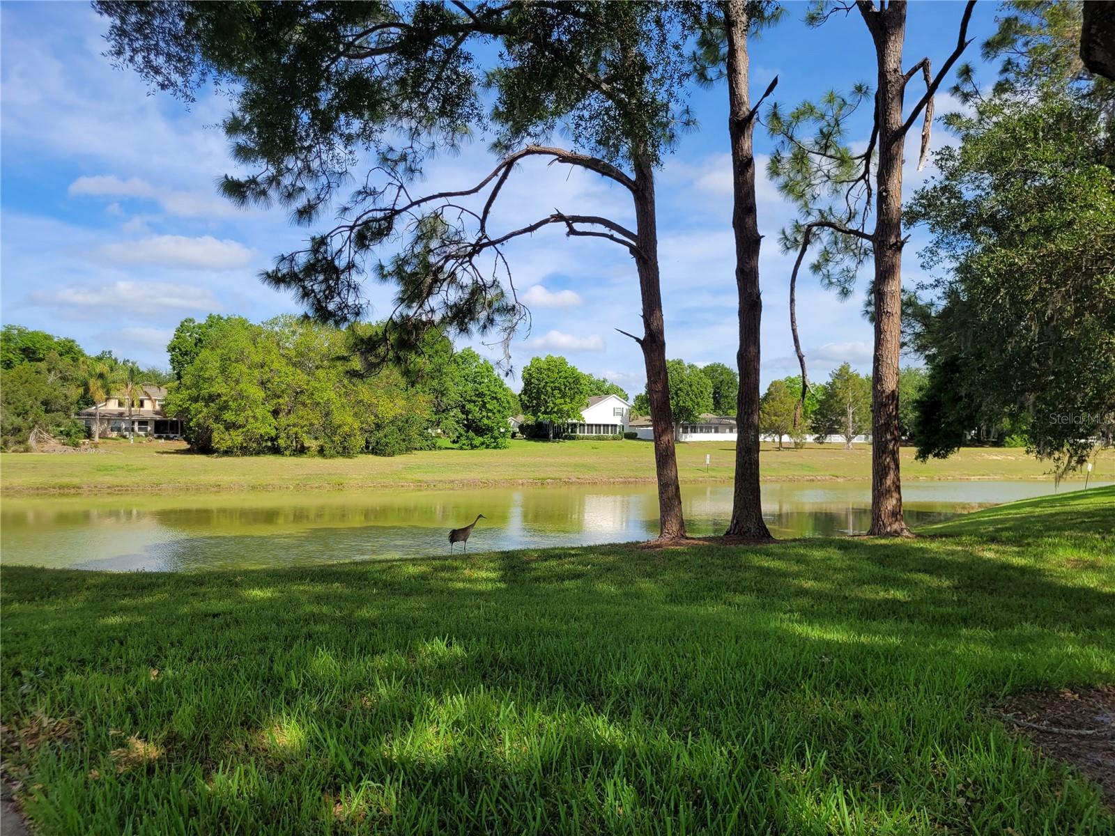 432 BAYTREE BLVD, TAVARES, FL, 32778