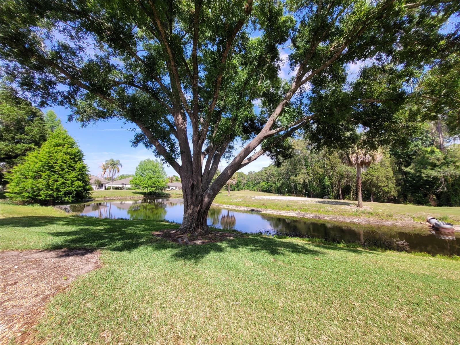 432 BAYTREE BLVD, TAVARES, FL, 32778