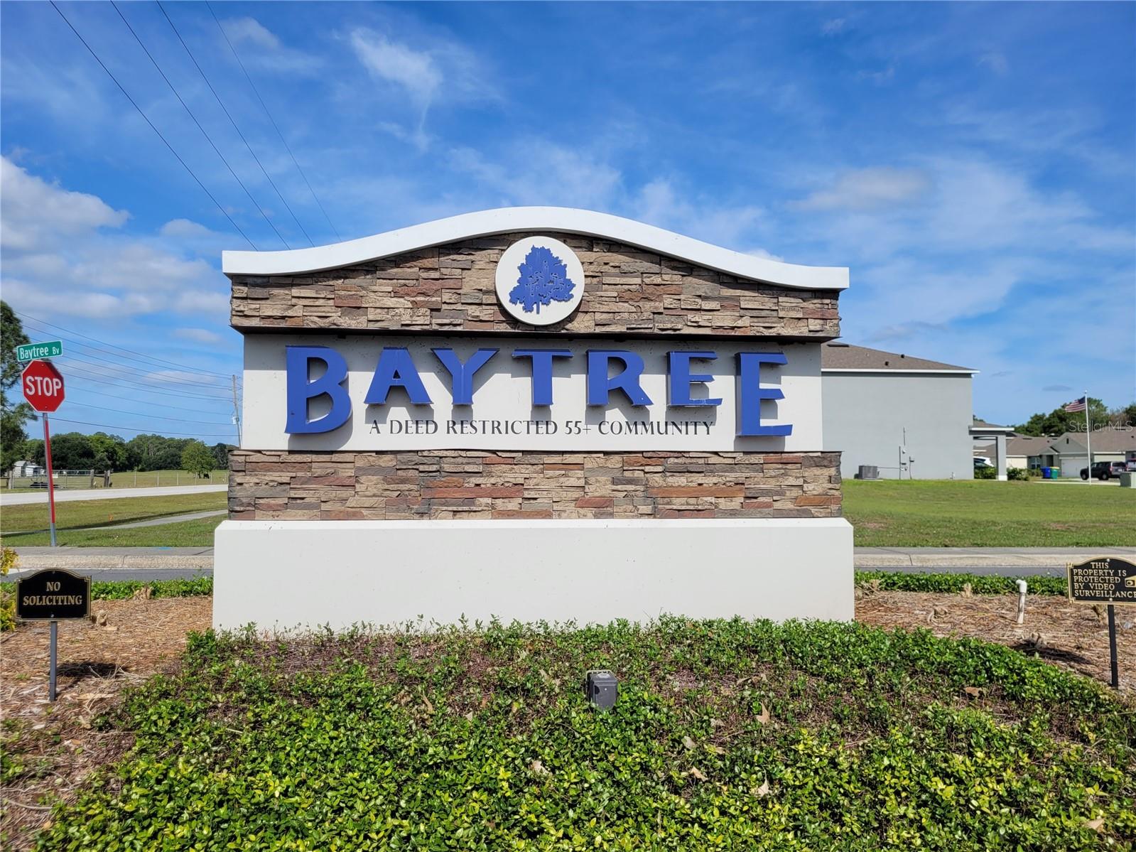 432 BAYTREE BLVD, TAVARES, FL, 32778