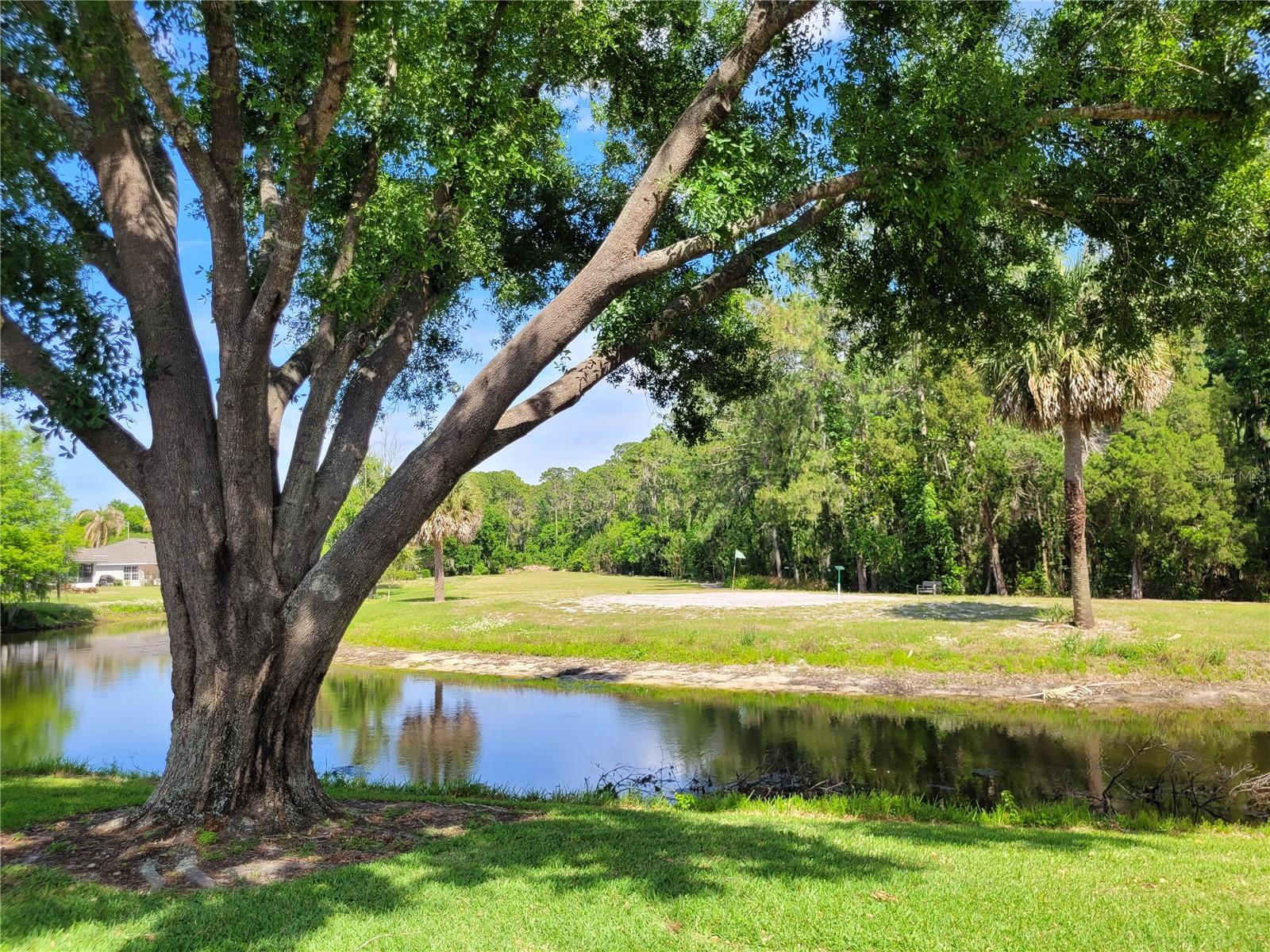 432 BAYTREE BLVD, TAVARES, FL, 32778