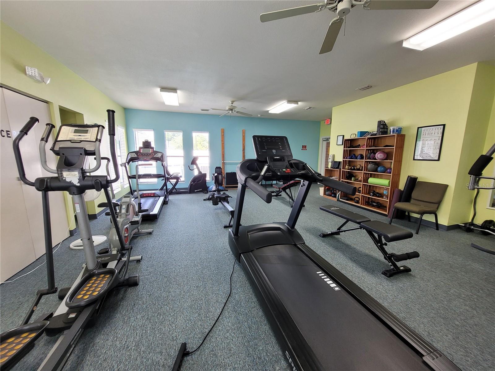 432 BAYTREE BLVD, TAVARES, FL, 32778