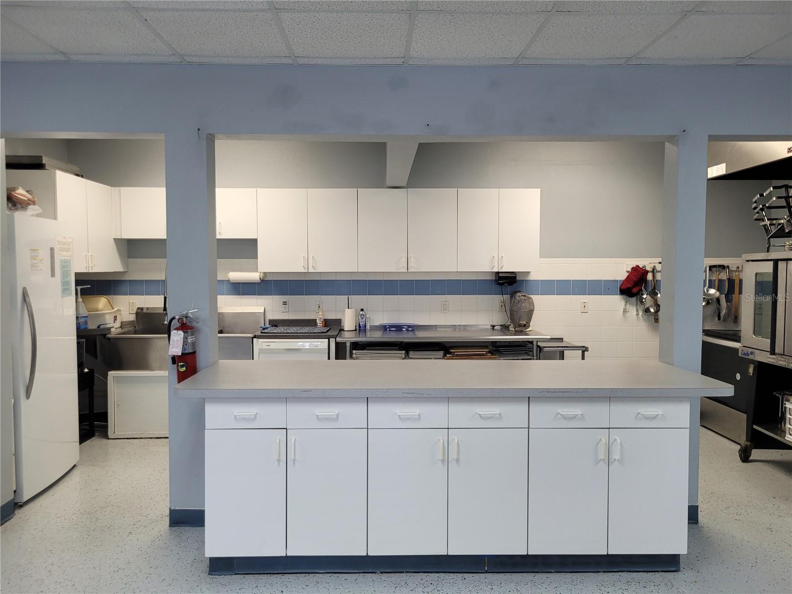 432 BAYTREE BLVD, TAVARES, FL, 32778