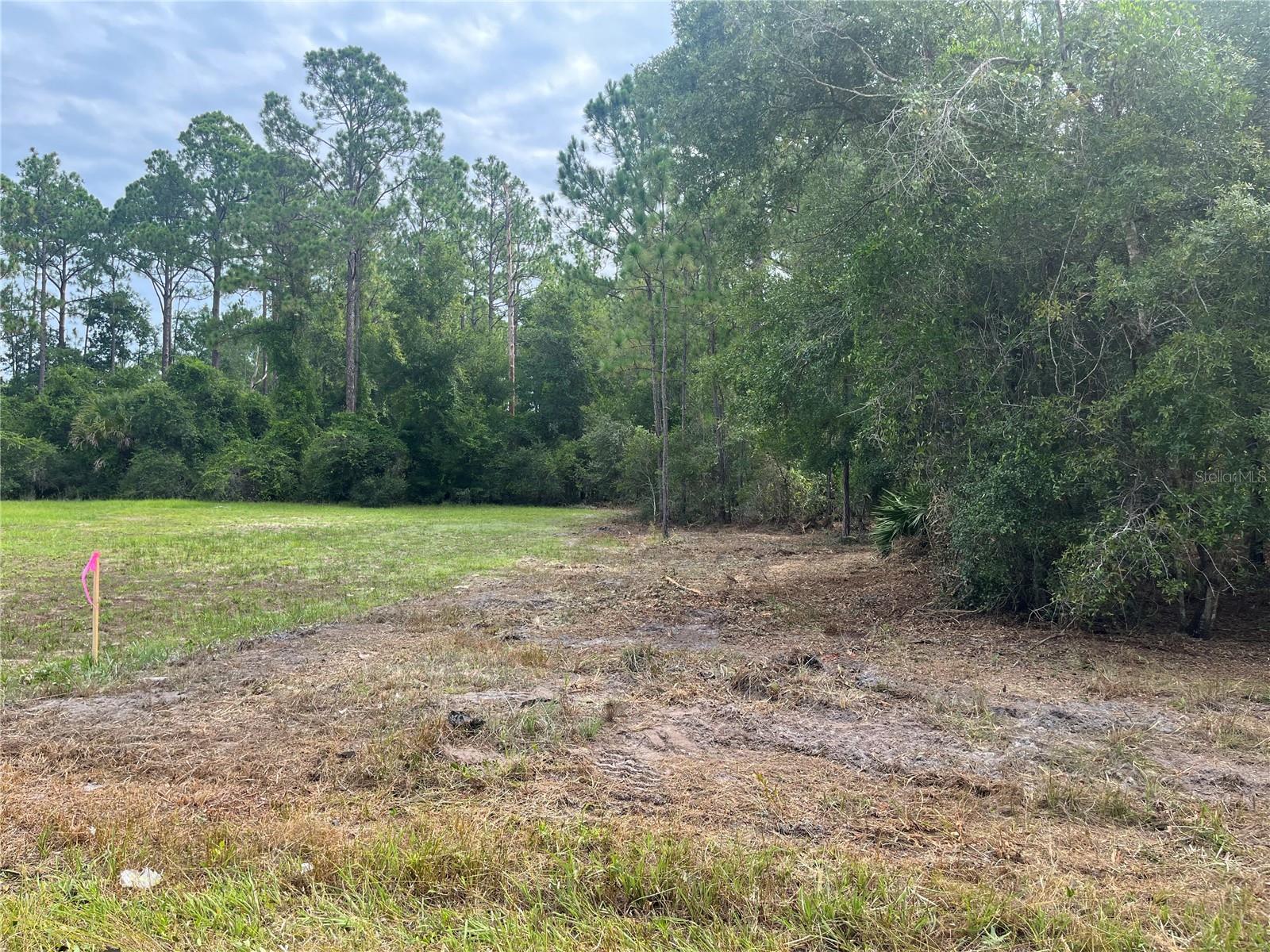 122 GLENSIDE ST, GEORGETOWN, FL, 32139