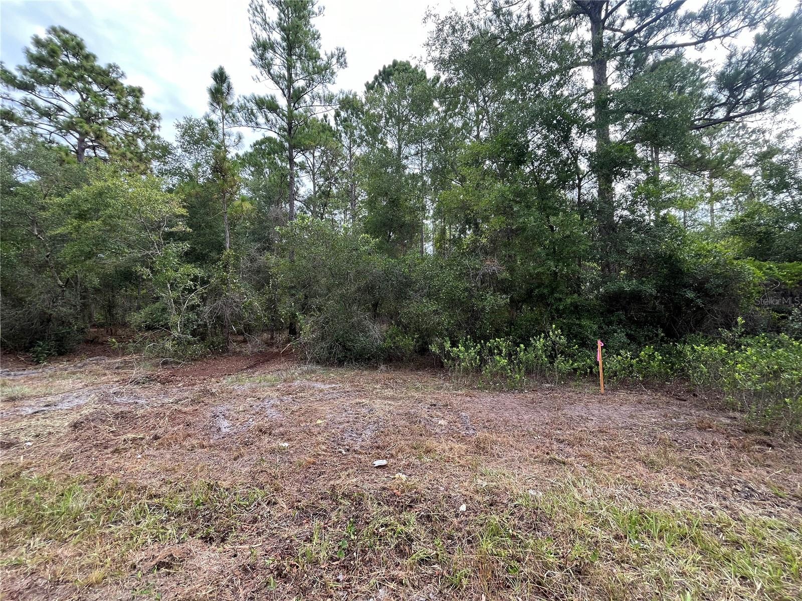 122 GLENSIDE ST, GEORGETOWN, FL, 32139