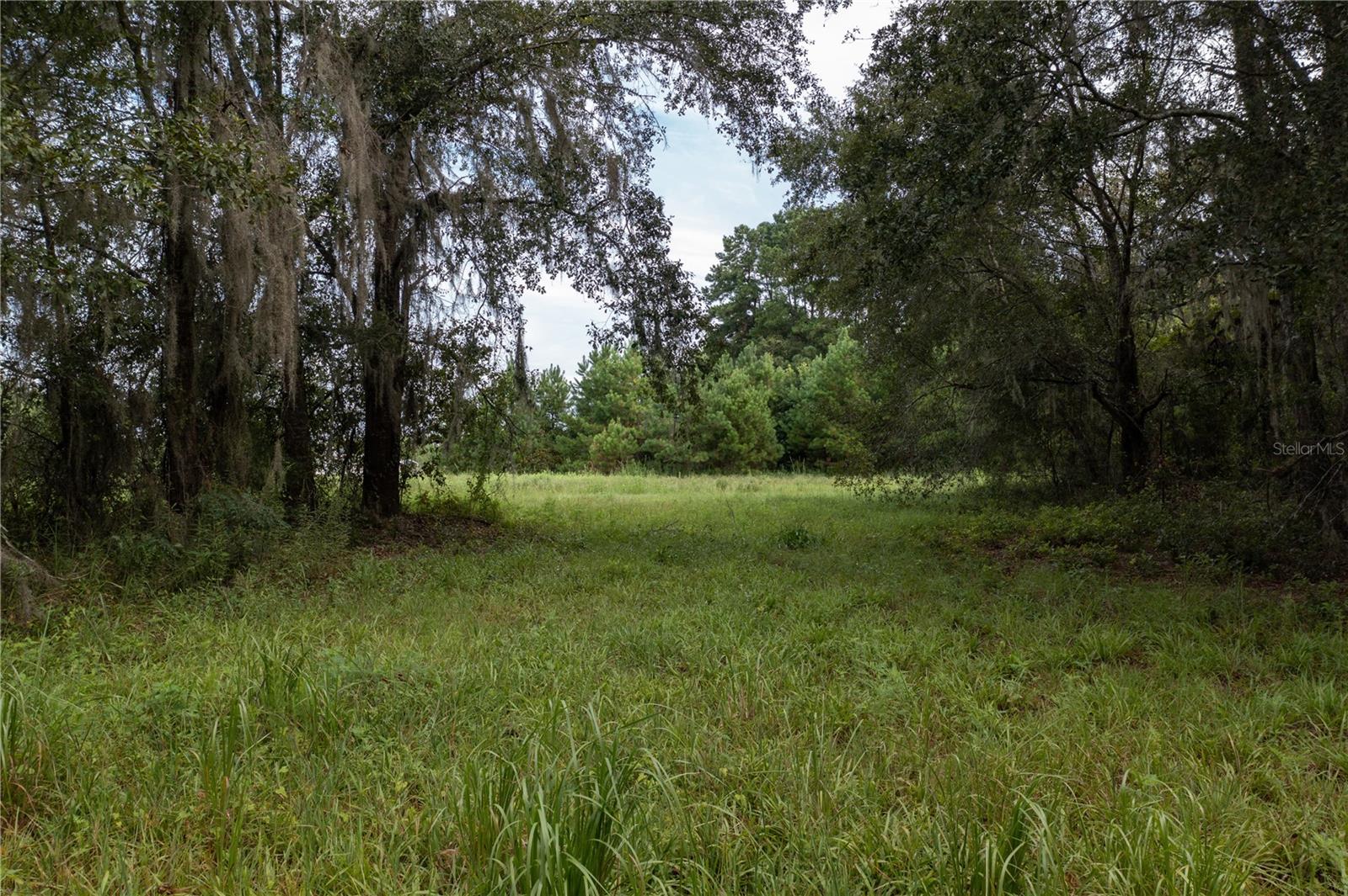 TBD SW 71ST AVE, LAKE BUTLER, FL, 32054