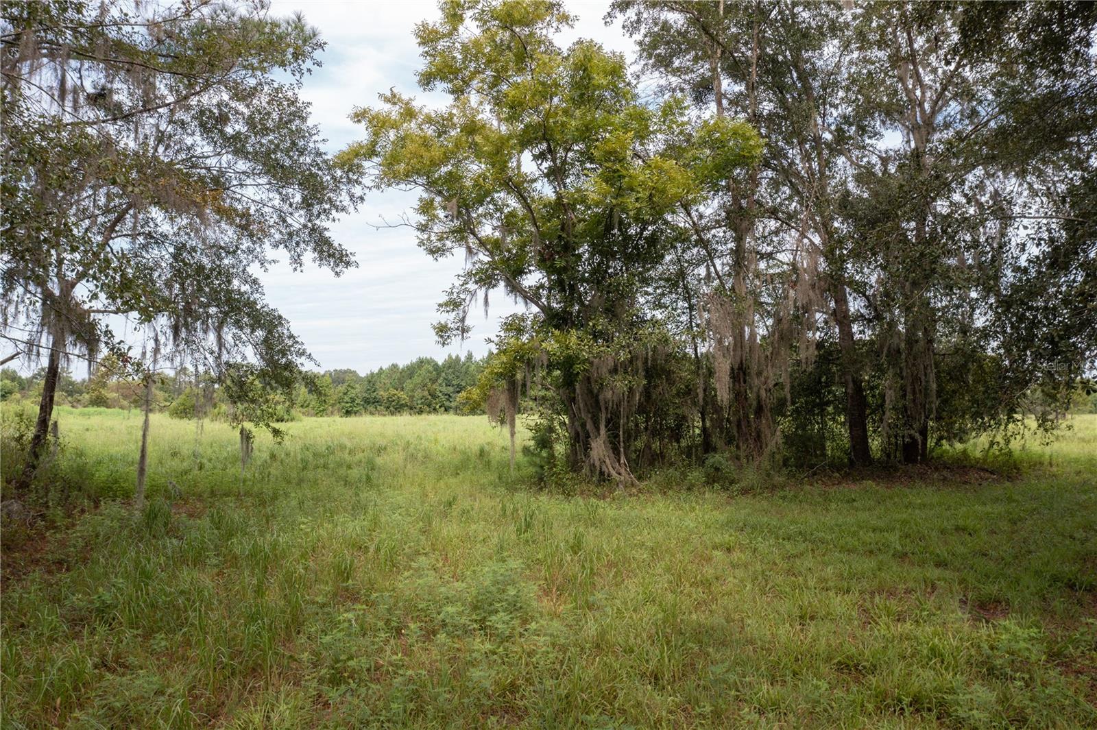 TBD SW 71ST AVE, LAKE BUTLER, FL, 32054