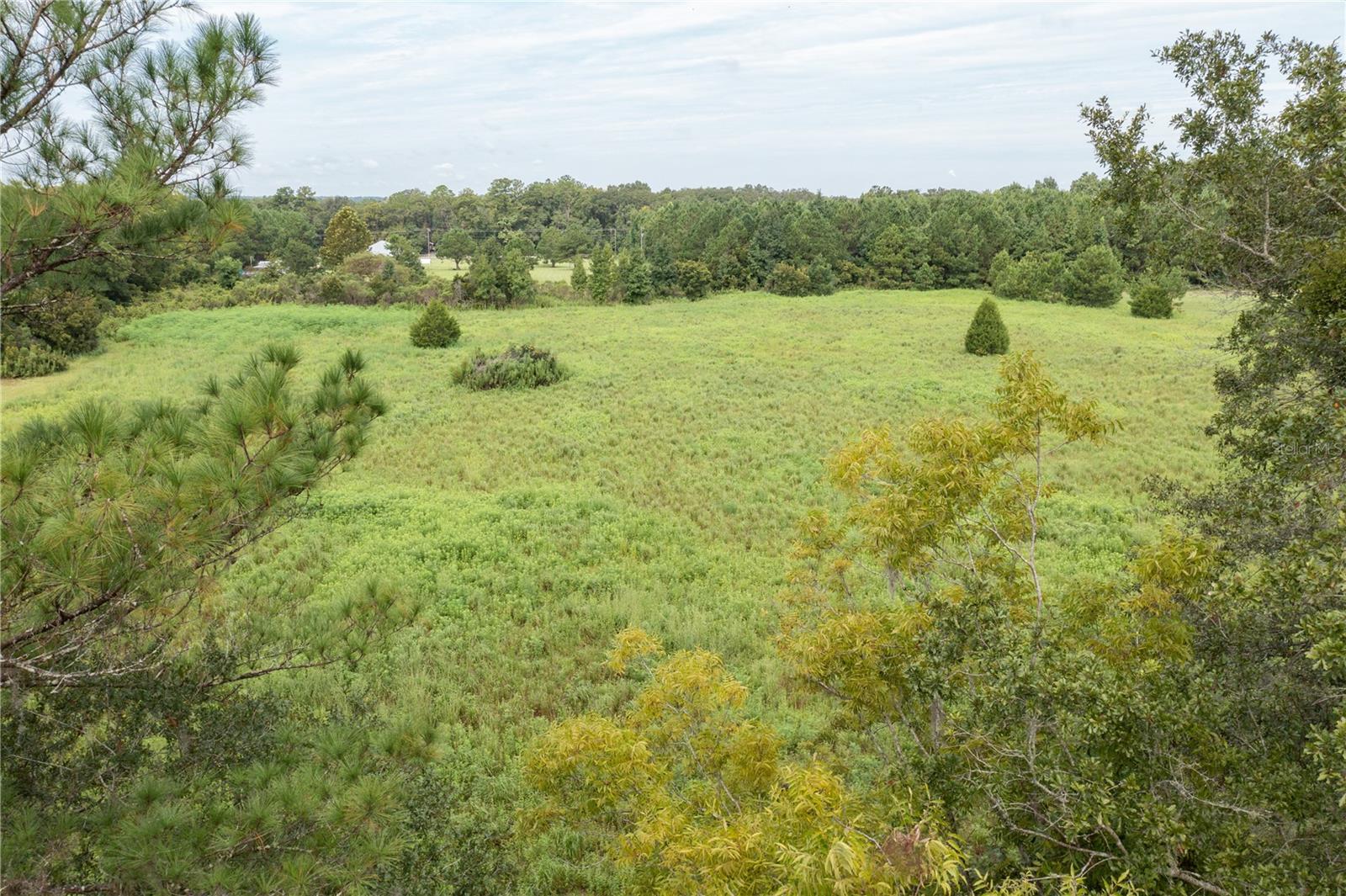 TBD SW 71ST AVE, LAKE BUTLER, FL, 32054