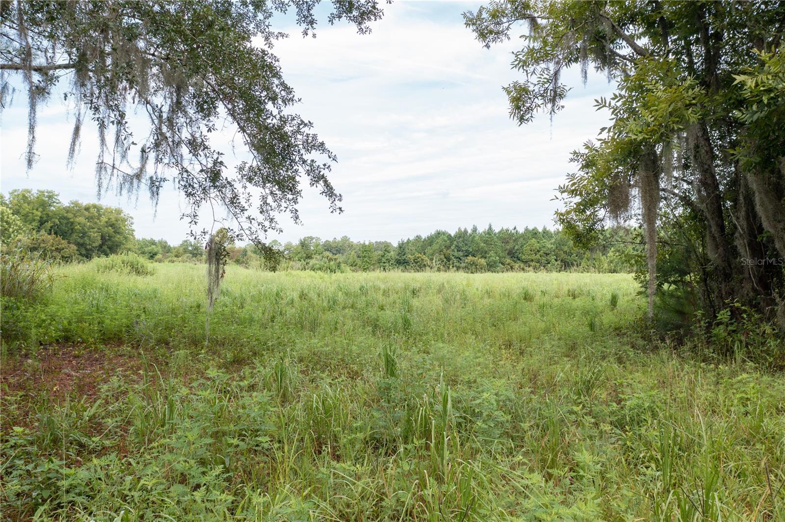 TBD SW 71ST AVE, LAKE BUTLER, FL, 32054