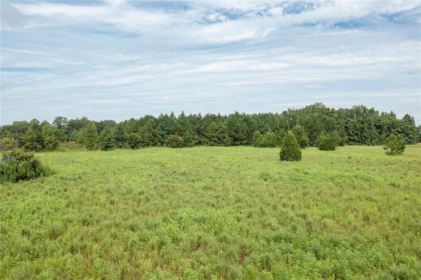 TBD SW 71ST AVE, LAKE BUTLER, FL, 32054