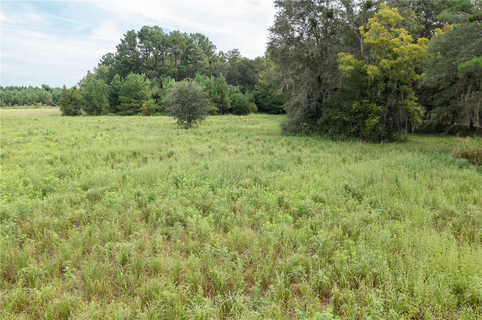 TBD SW 71ST AVE, LAKE BUTLER, FL, 32054