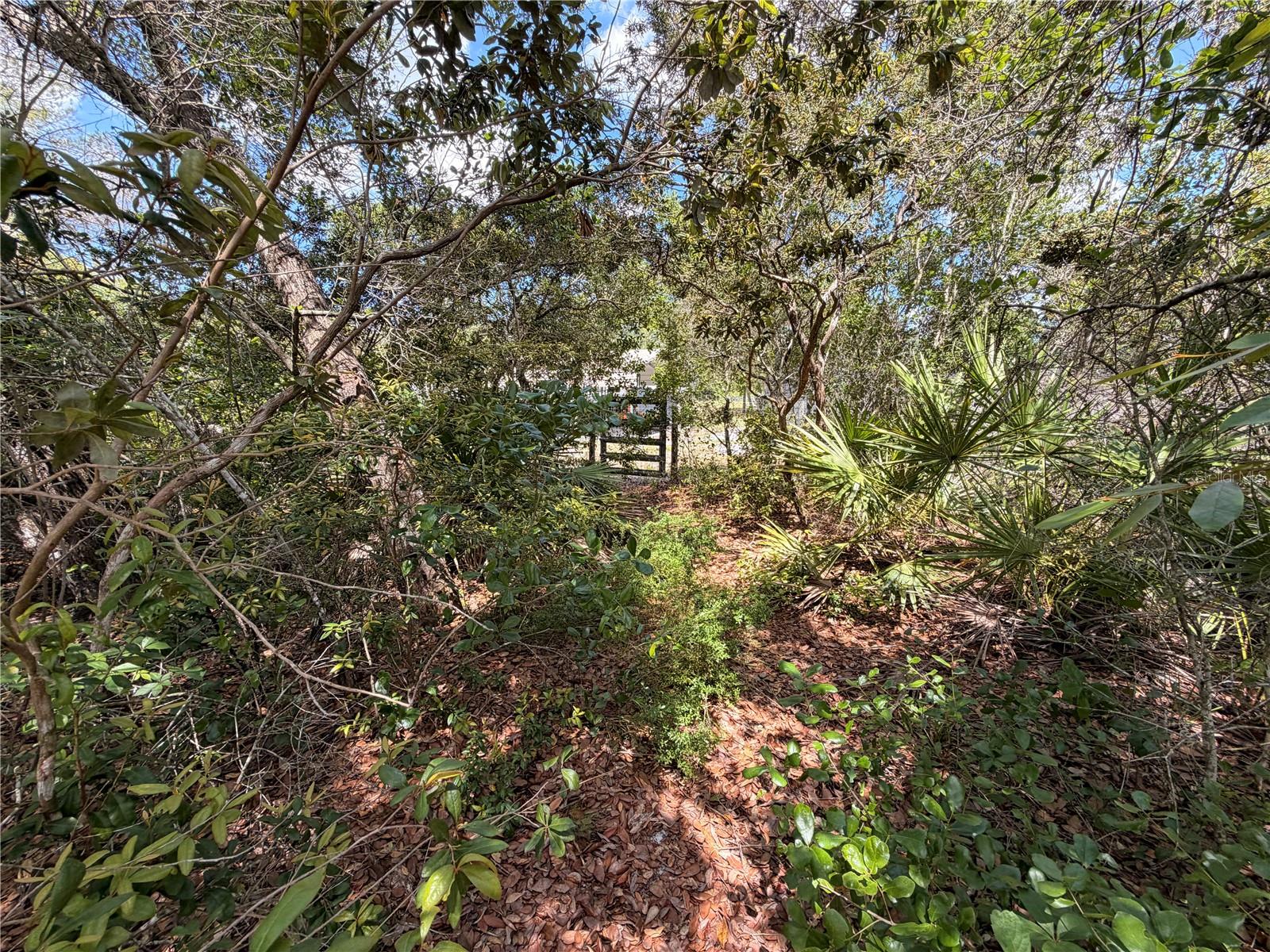 472 SHAW LAKE RD, PIERSON, FL, 32180