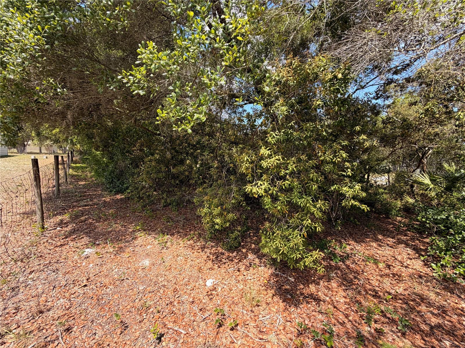 472 SHAW LAKE RD, PIERSON, FL, 32180