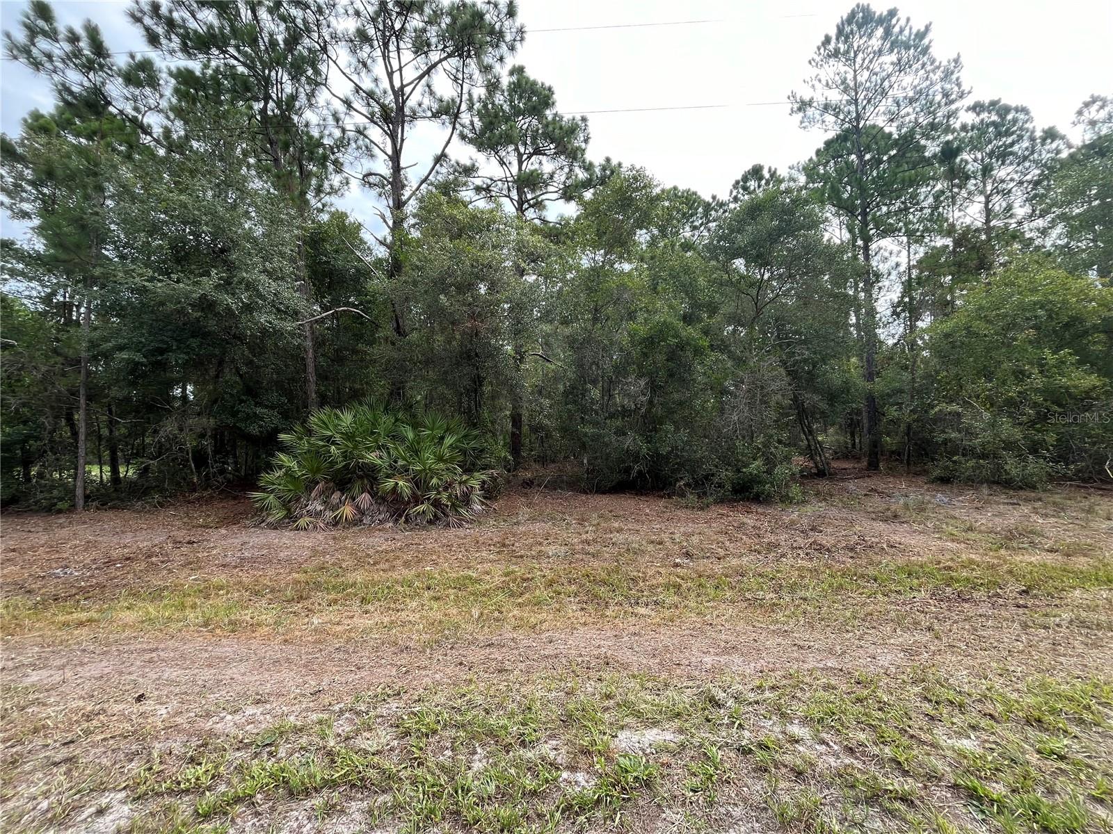 124 GLENSIDE ST, GEORGETOWN, FL, 32139