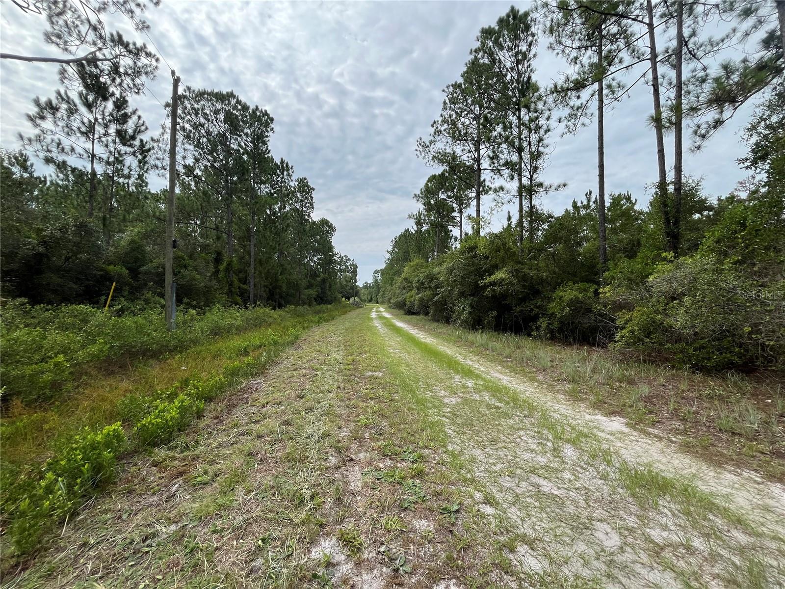 124 GLENSIDE ST, GEORGETOWN, FL, 32139