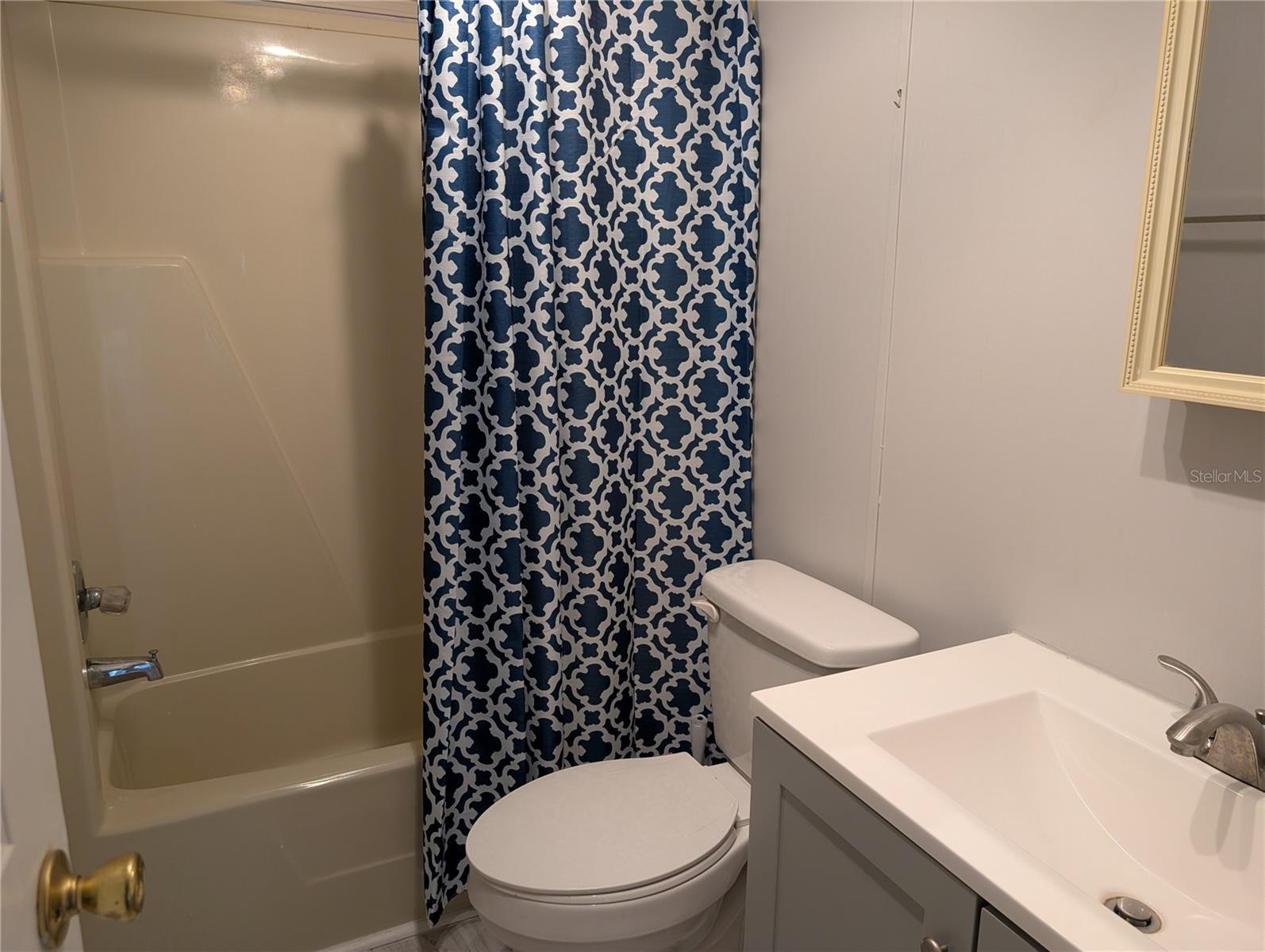 25836 MANHATTAN LN, ASTOR, FL, 32102