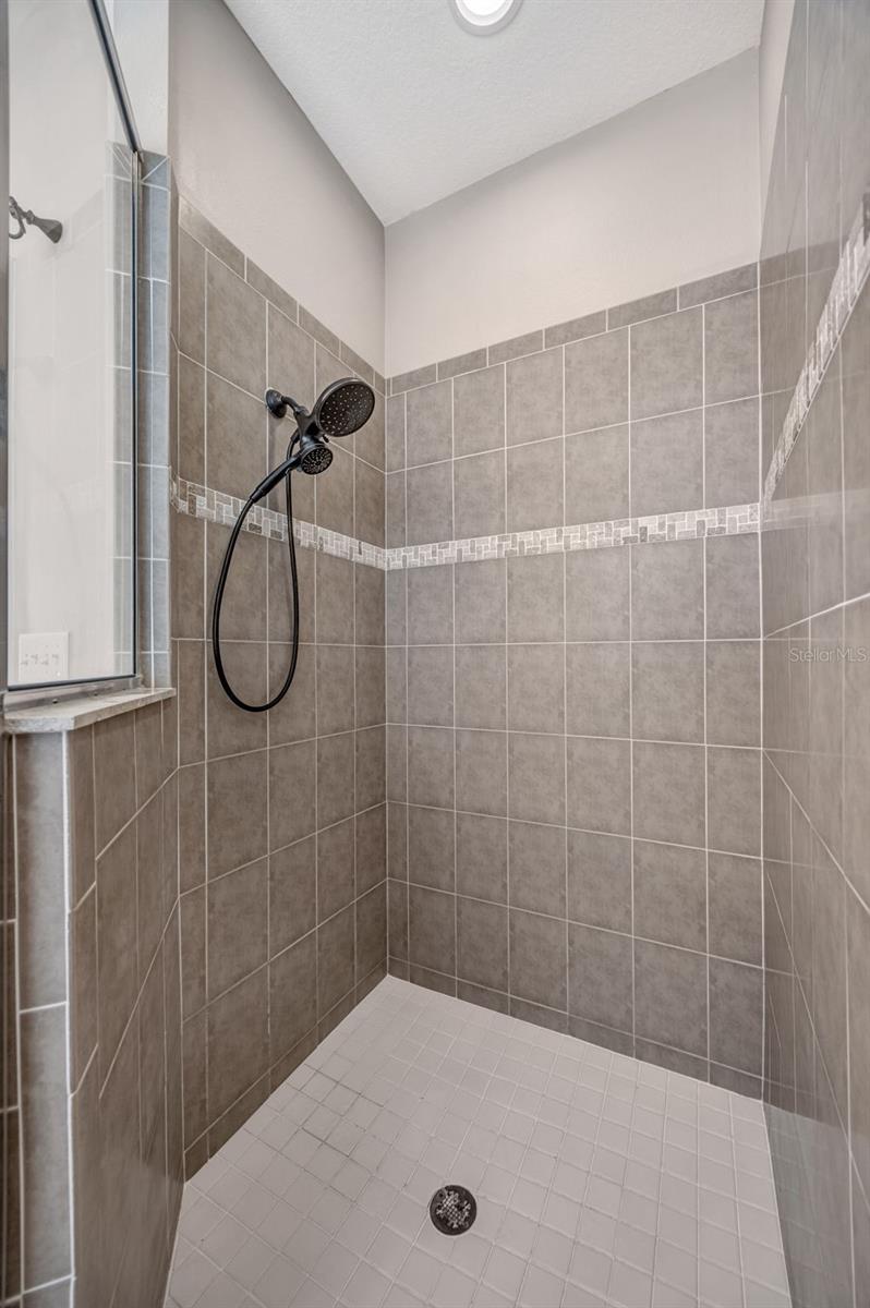 4017 WATERVILLE AVE, WESLEY CHAPEL, FL, 33543