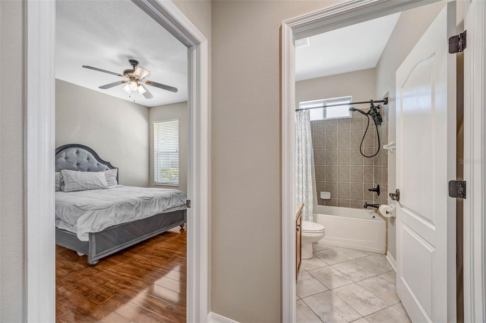 4017 WATERVILLE AVE, WESLEY CHAPEL, FL, 33543