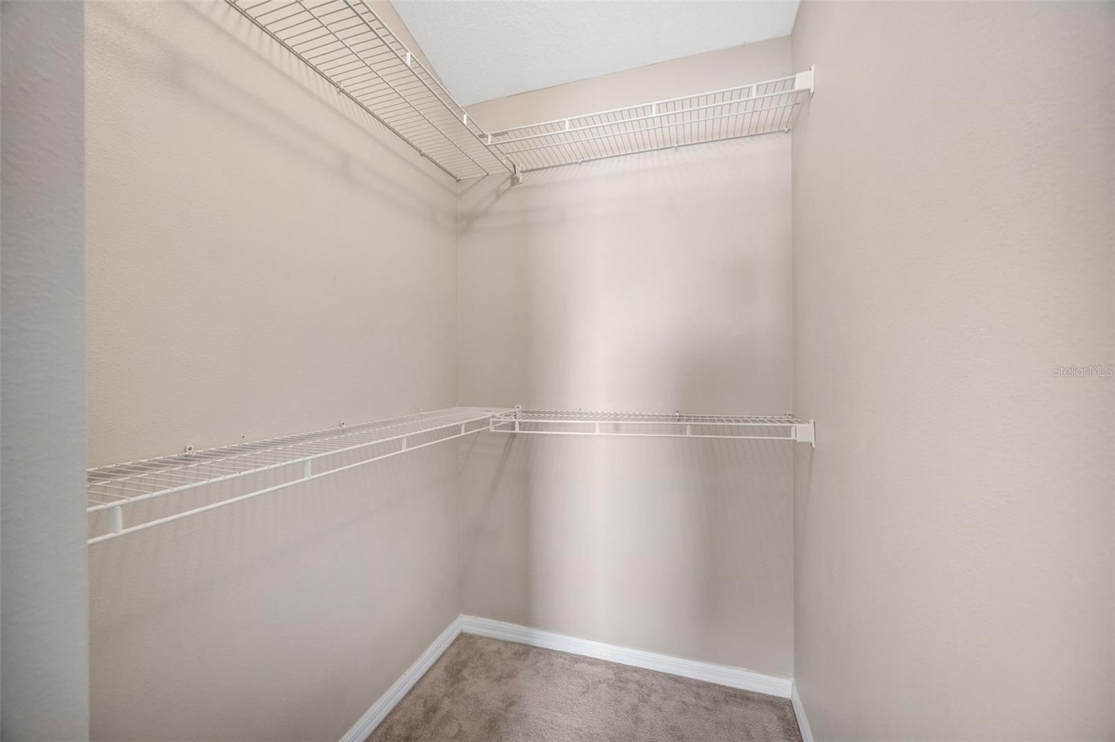 4017 WATERVILLE AVE, WESLEY CHAPEL, FL, 33543