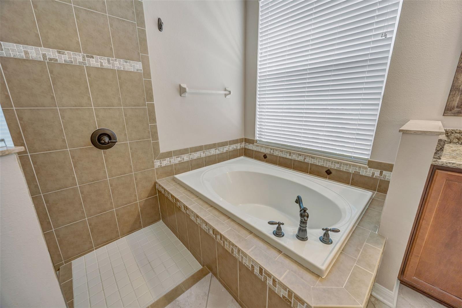 4017 WATERVILLE AVE, WESLEY CHAPEL, FL, 33543