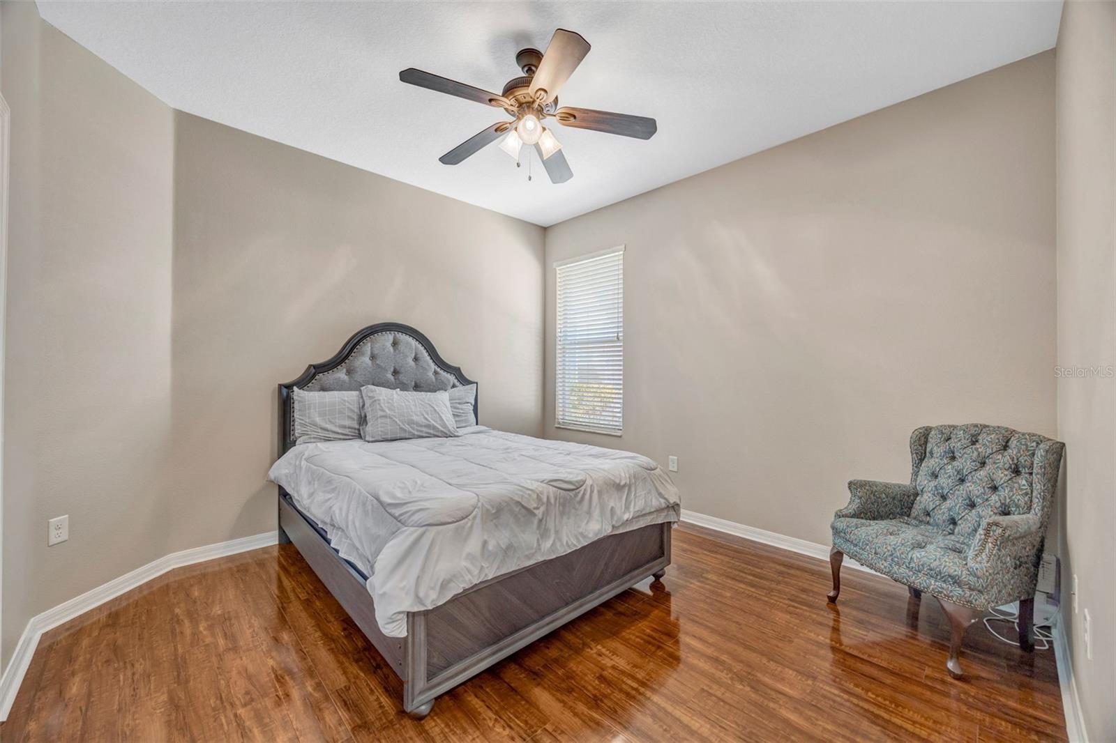 4017 WATERVILLE AVE, WESLEY CHAPEL, FL, 33543