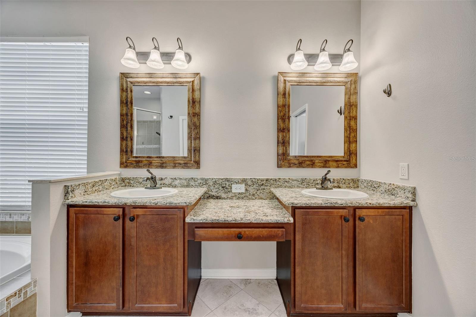 4017 WATERVILLE AVE, WESLEY CHAPEL, FL, 33543