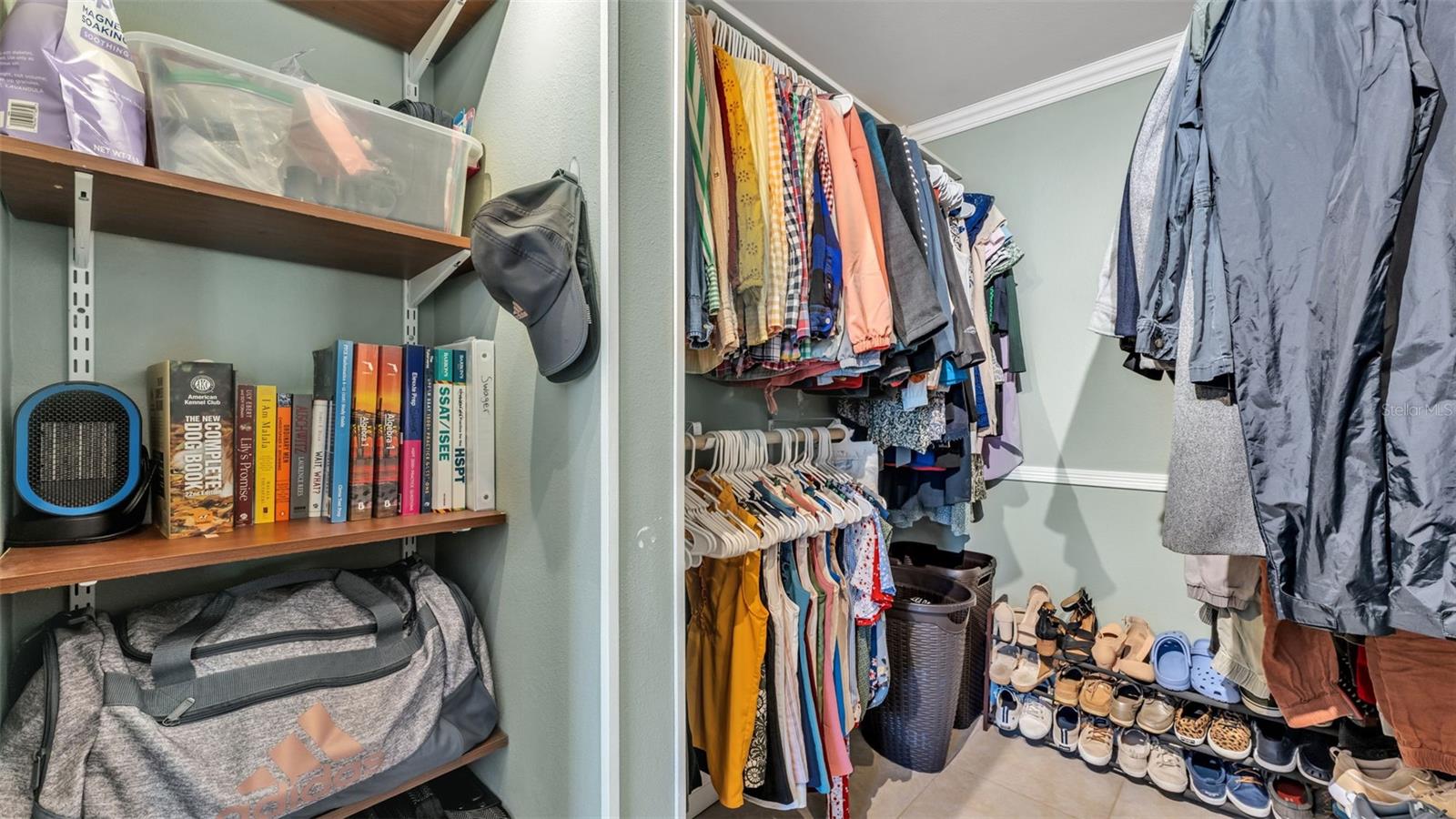 1640 VILLA CAPRI CIR #303, ODESSA, FL, 33556