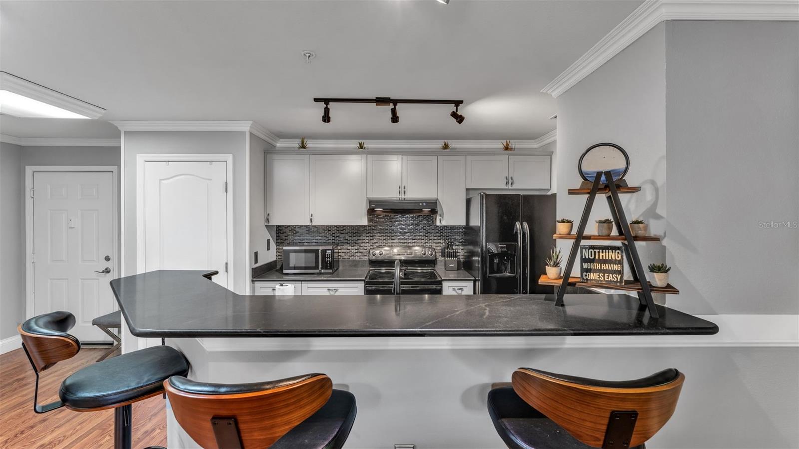 1640 VILLA CAPRI CIR #303, ODESSA, FL, 33556