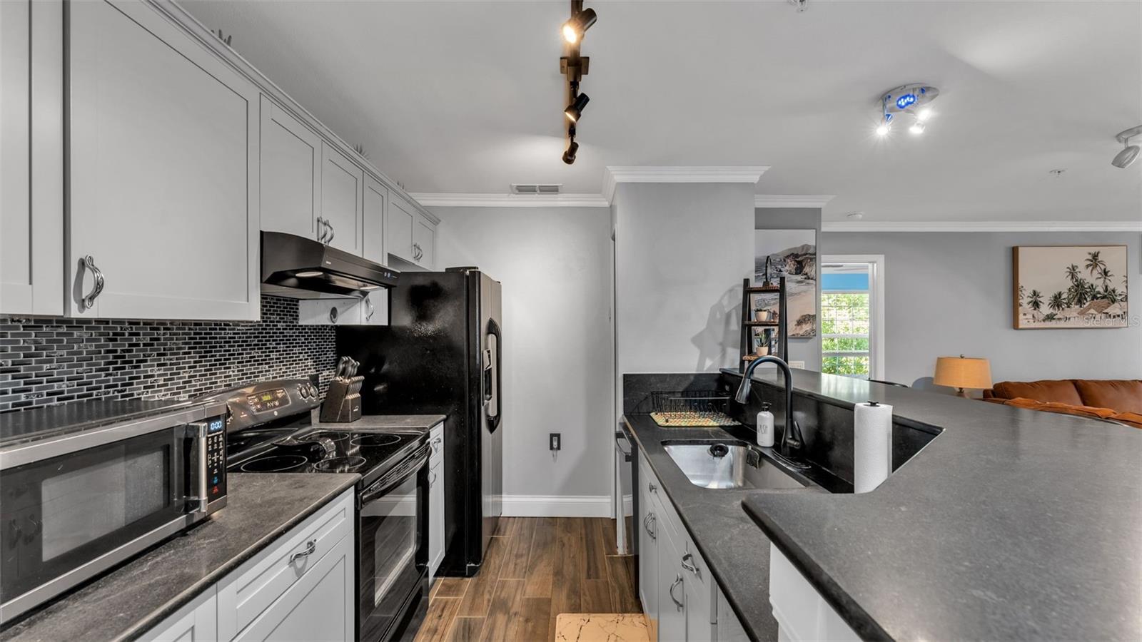 1640 VILLA CAPRI CIR #303, ODESSA, FL, 33556